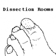 Dissection Rooms, UCL, 2009
